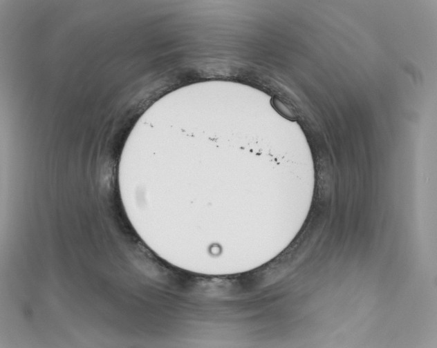 X0000110760125200907271151