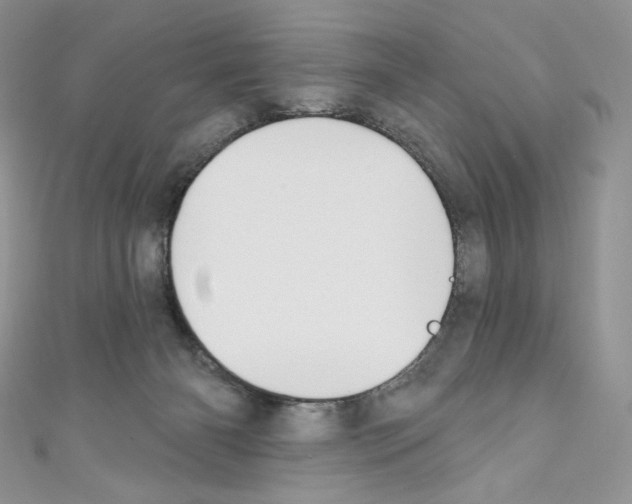 X0000110760126200907271151