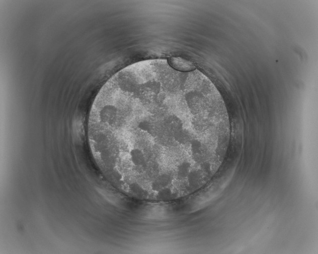X0000110760127200907271151