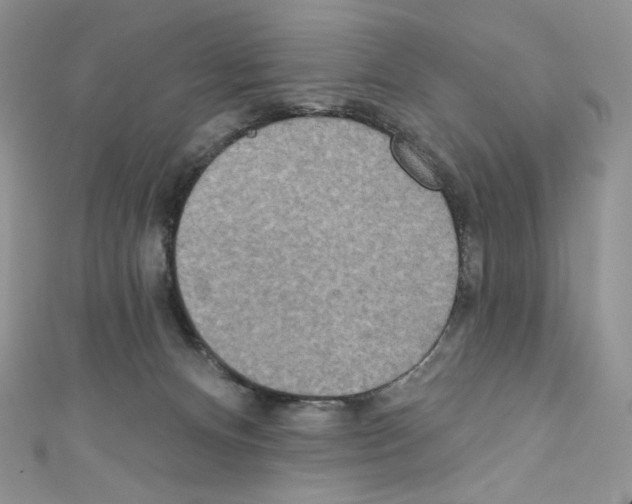 X0000110760128200907271151