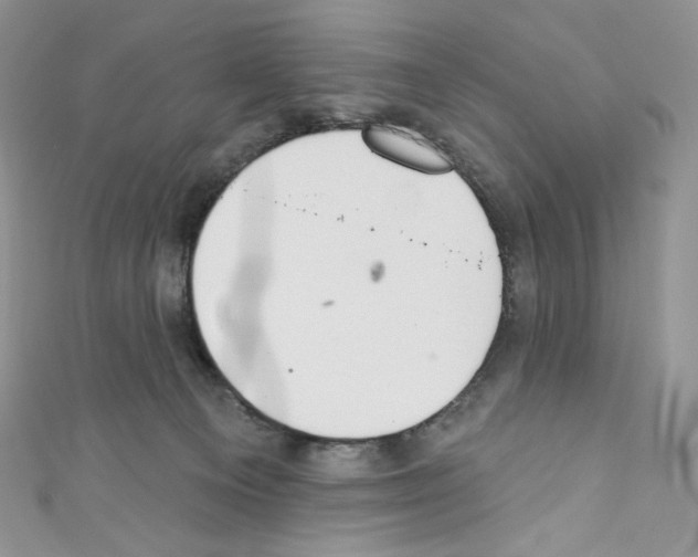 X0000110760129200907271151