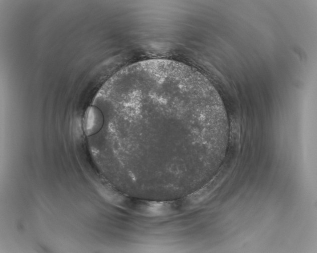 X0000110760130200907271151