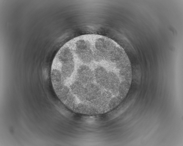X0000110760131200907271151