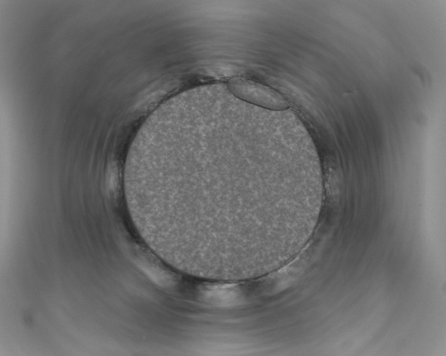 X0000110760132200907271151