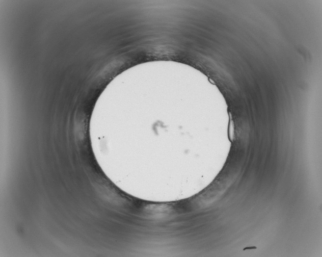 X0000110760133200907271151