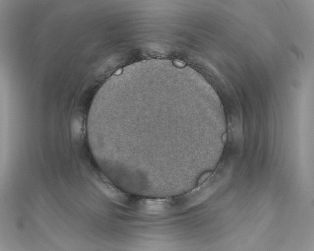 X0000110760134200907271151