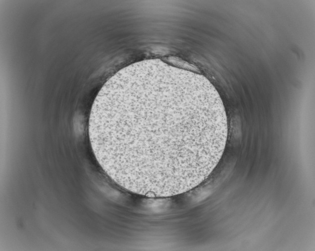 X0000110760135200907271151