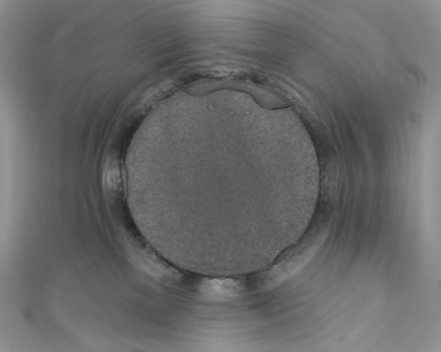 X0000110760137200907271151
