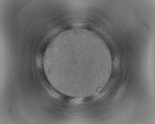 X0000110760138200907271151