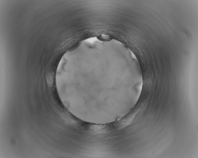 X0000110760139200907271151
