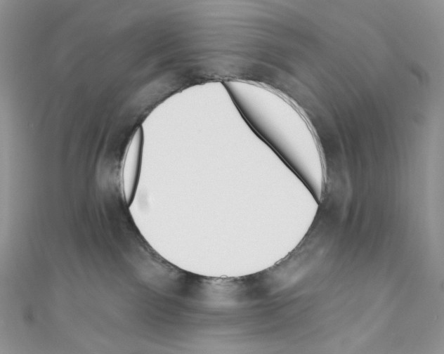X0000110760141200907271151