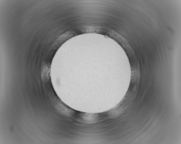 X0000110760142200907271151