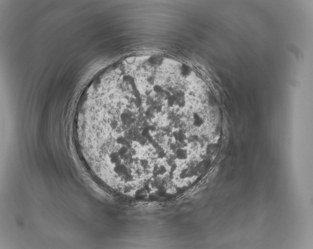 X0000110760145200907271151