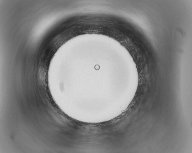 X0000110760146200907271151