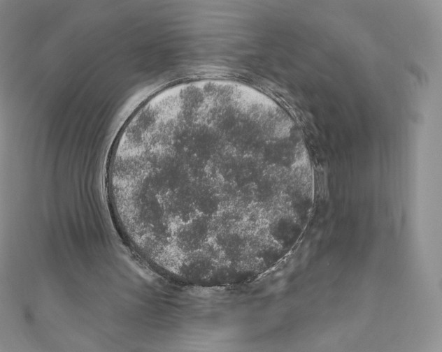 X0000110760147200907271151