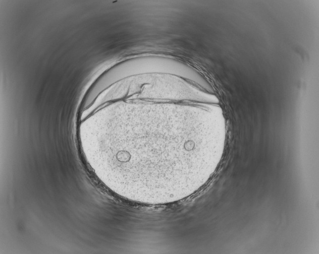 X0000110760148200907271151