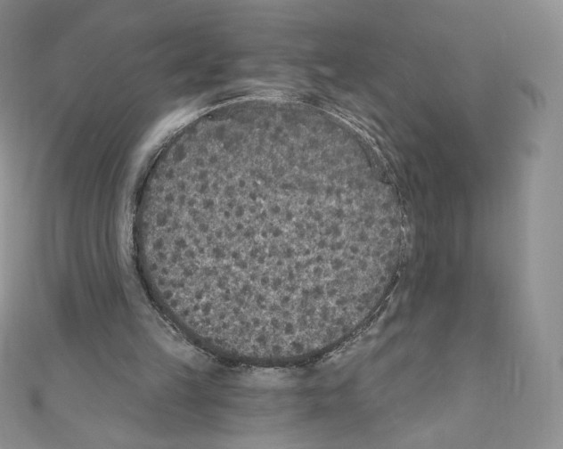 X0000110760149200907271151
