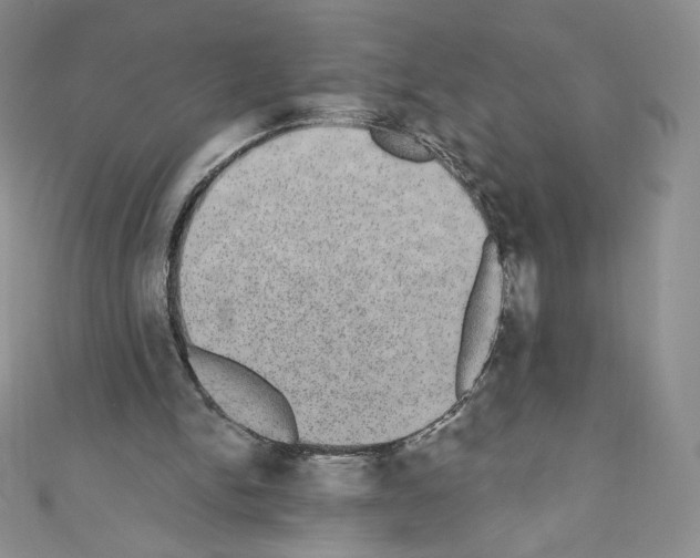 X0000110760150200907271151