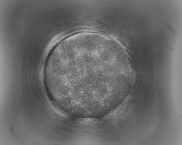 X0000110760151200907271151