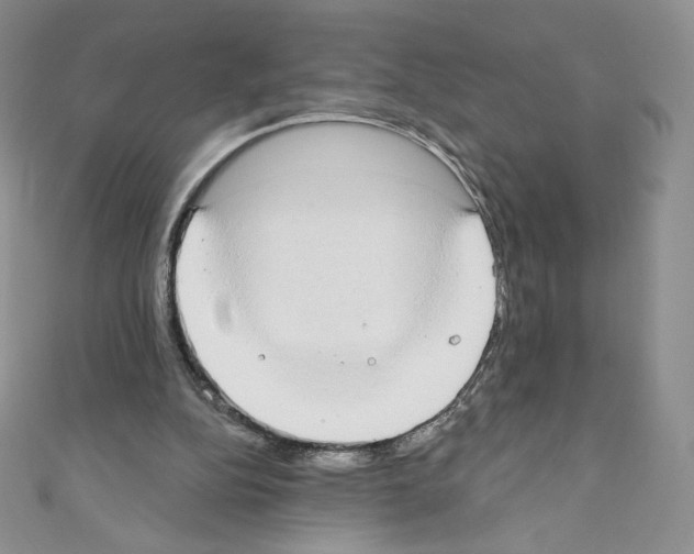 X0000110760152200907271151