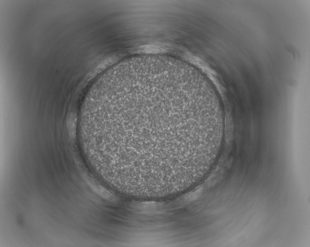 X0000110760153200907271151