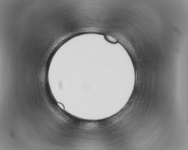 X0000110760156200907271151