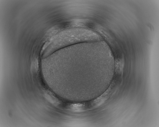 X0000110760158200907271151