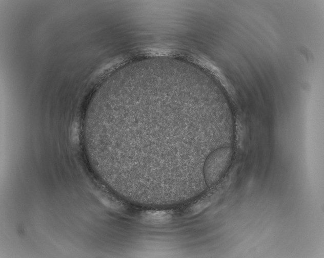 X0000110760161200907271151