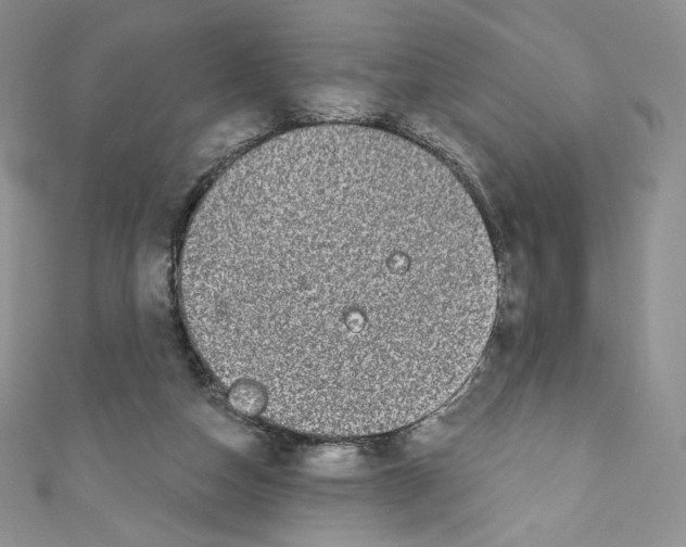 X0000110760162200907271151