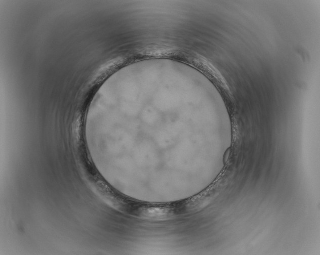 X0000110760163200907271151