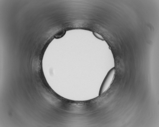 X0000110760164200907271151