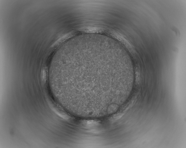 X0000110760165200907271151