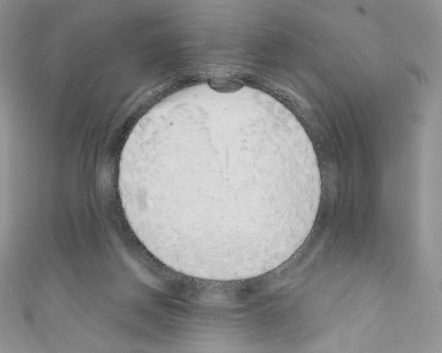 X0000110760166200907271151