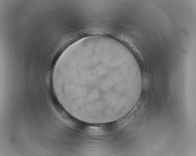 X0000110760167200907271151