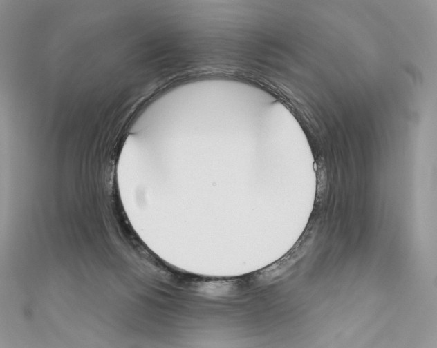 X0000110760168200907271151