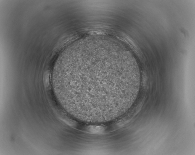X0000110760169200907271151
