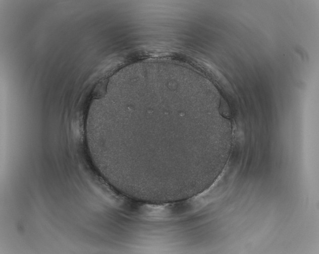 X0000110760170200907271151