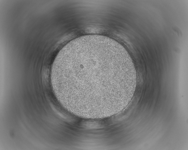 X0000110760171200907271151