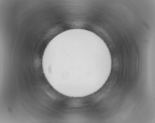 X0000110760173200907271151