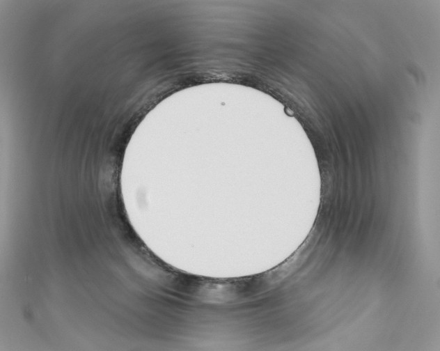 X0000110760174200907271151