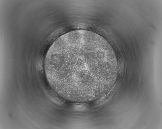X0000110760175200907271151