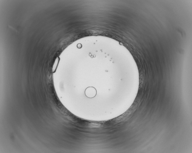 X0000110760176200907271151