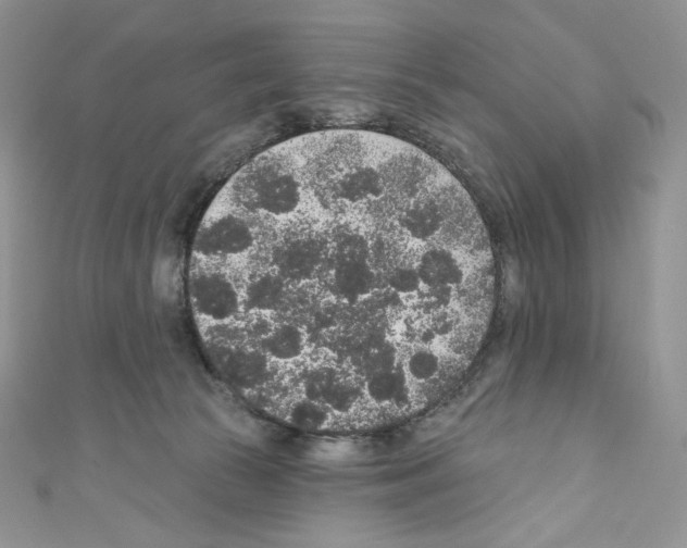 X0000110760177200907271151