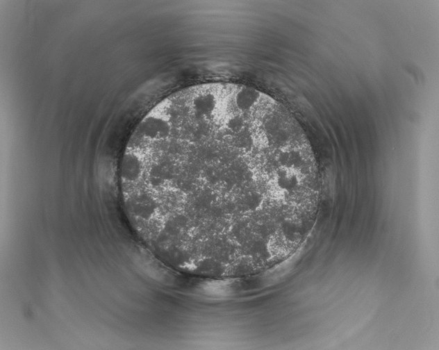 X0000110760178200907271151