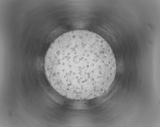 X0000110760179200907271151