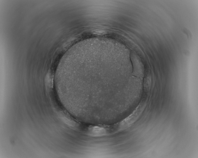 X0000110760180200907271151