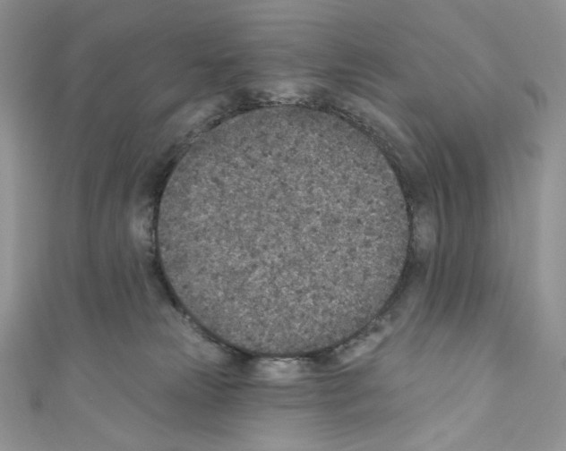 X0000110760181200907271151