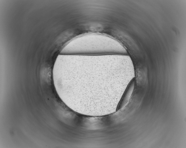X0000110760184200907271151