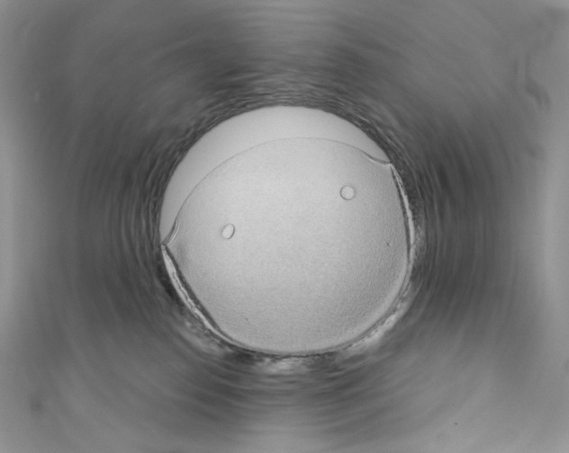 X0000110760186200907271151
