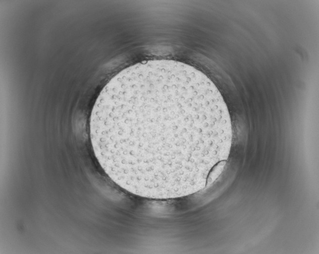 X0000110760187200907271151